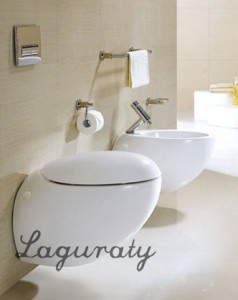   Laguraty 1