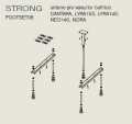    Riho STRONG POOTSET08