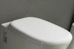     soft-close ArtCeram Ten TE50